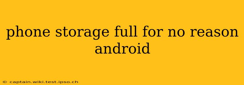 phone storage full for no reason android